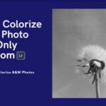 How to Colorize a B&W Photo Using the Only Lightroom