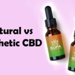 Natural vs Synthetic CBD: Exploring the Differences