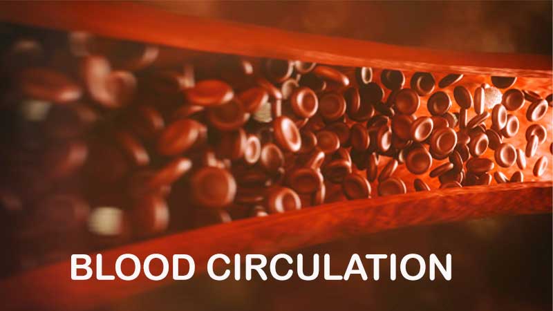 Poor Blood Circulation in Humans
