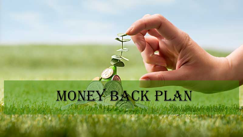 money-back-plan