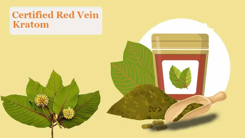 Red Vein Kratom